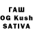Псилоцибиновые грибы Psilocybine cubensis Oybek1907