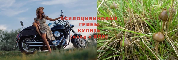 трава Каменногорск